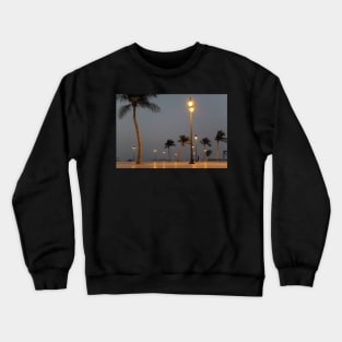 Palm Trees at the Park Crewneck Sweatshirt